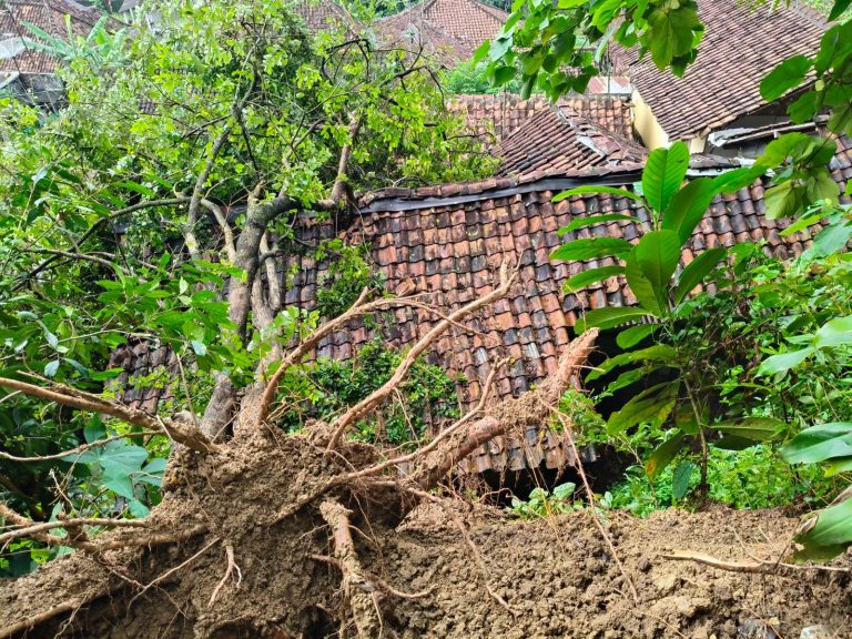 f12849b5-ab7c-42ce-8f40-8fff5555cb3c