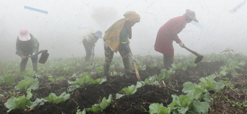 Hak Pengelolaan Reforma Agraria 2026