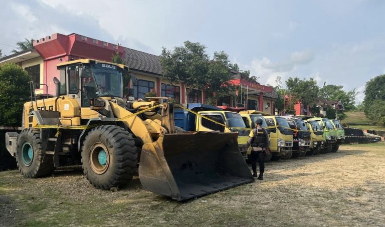 538ef2e1-6014-4b72-b81a-676cee1ebb6c-1