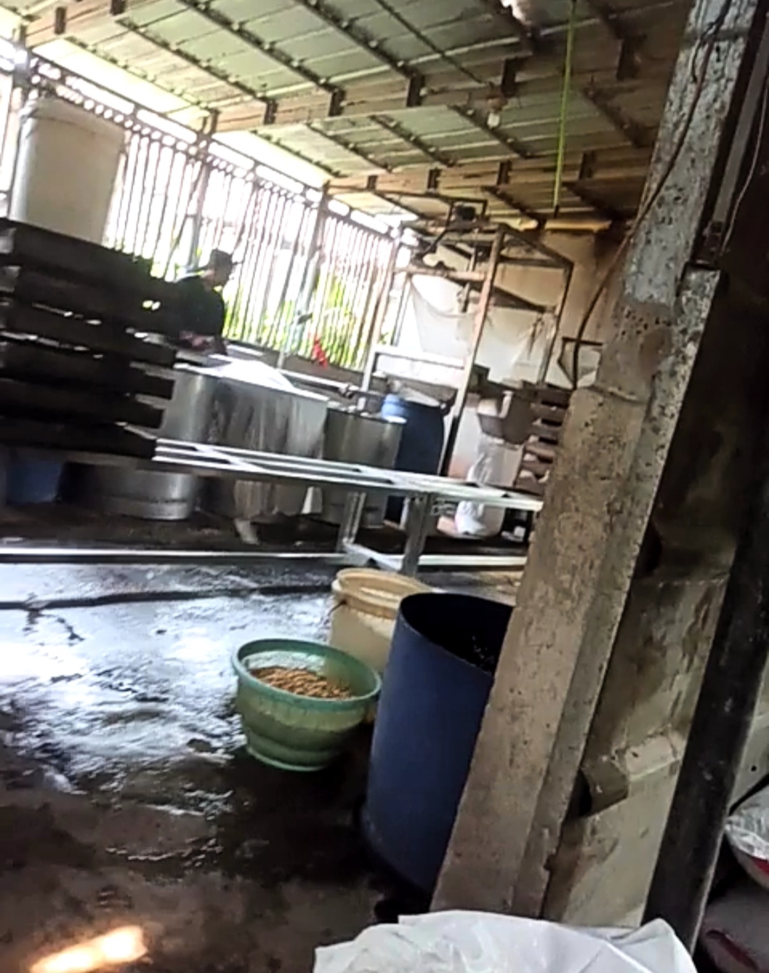 Warga Kampung Tunggilis Desa Situsari Keluhkan Bau Menyengat Dari Limbah Pabrik Tahu Di Tengah Permukiman, Warga Kampung Tunggilis Resah Meminta Dinas Terkaiat Segera Bertindak