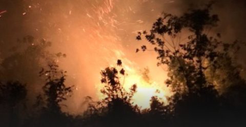 Tanda-tanda Godzilla El Niño Semakin Nampak, Solusi Iklim di Hulu Harus Jadi Prioritas
