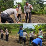 Wujud Nyata Polri Peduli Petani Sat Lantas Polres Kuningan Sukseskan Program Ketahanan Pangan