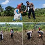 Sinergi Untuk Ketahanan PanganSatlantas Polres Kuningan Turun Langsung ke Sawah Bantu Petani Desa Cibulan