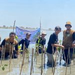 200 Bibit Mangrove Ditanam Di Pantai Micil KKN UIC Dorong Gerakan Nyata Selamatkan Pesisir