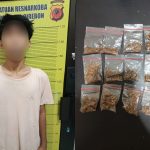 Polresta Cirebon Ungkap Dugaan Peredaran Tembakau Sintetis Di Palimanan 15 Paket Seberat 10,10 Gram Diamankan